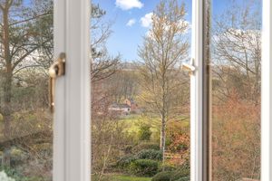 Photo 40- click for photo gallery